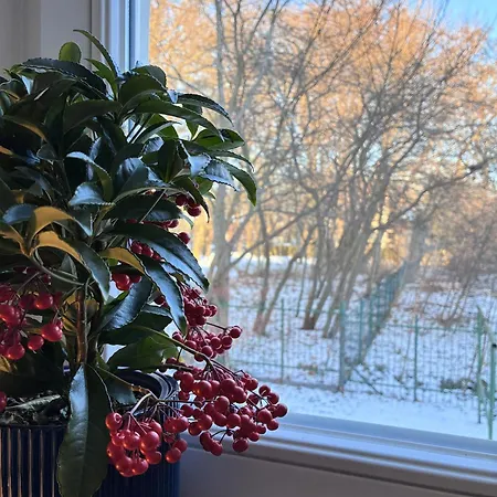 100m Od Morza סופוט