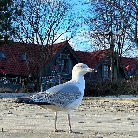 100m Od Morza 아파트 *