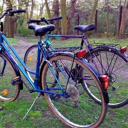 100m Od Morza Apartament