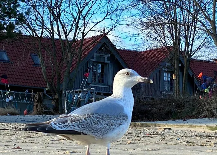 100m Od Morza شقة *